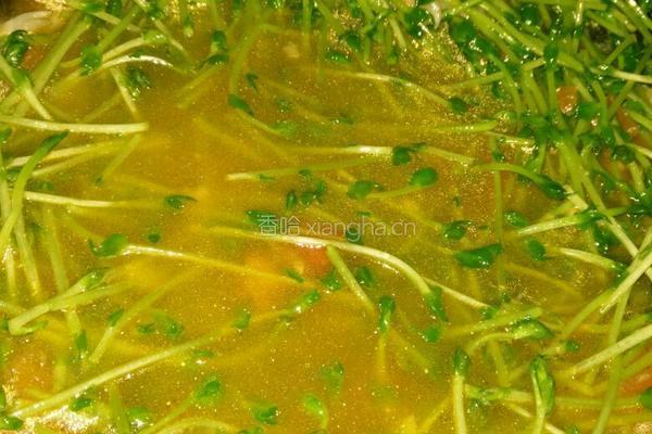 西红柿菌菇豆苗汤的做法图解8