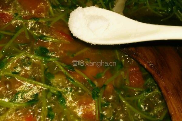 西红柿菌菇豆苗汤的做法图解9