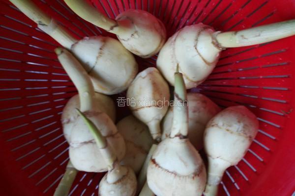 茨菇烧五花肉的做法图解1
