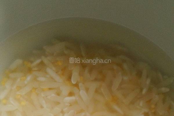 小米白粥的做法图解1