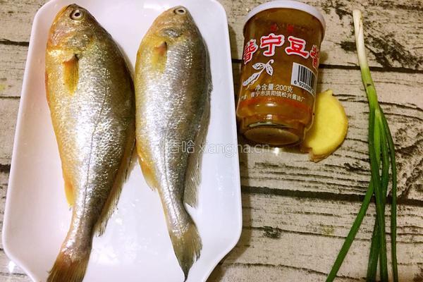 豆酱焖黄花鱼的做法图解1