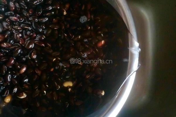 自制豆芽的做法图解11