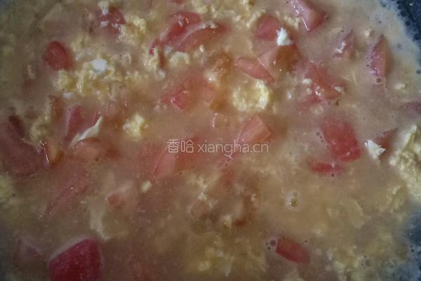 番茄鸡蛋土豆粉的做法图解7