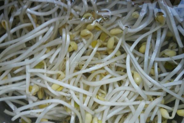 如意菜的做法图解4