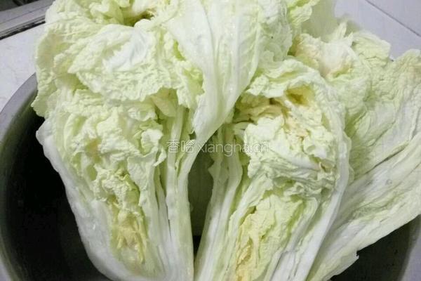 自制辣白菜的做法图解2