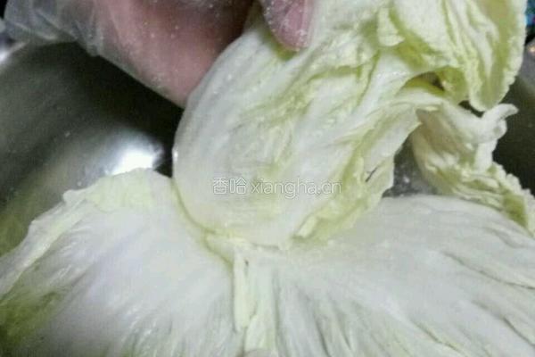 自制辣白菜的做法图解3