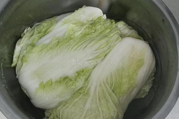 自制辣白菜的做法图解6