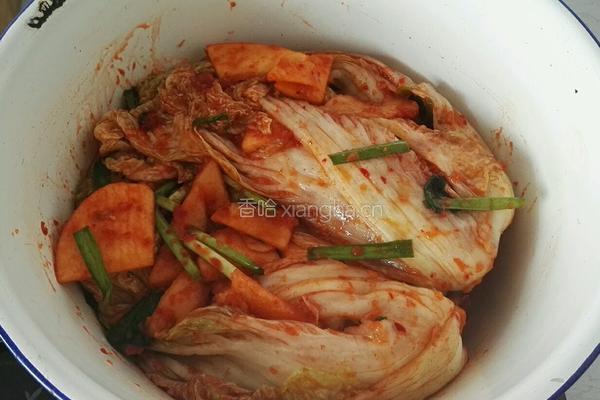 自制辣白菜的做法图解11