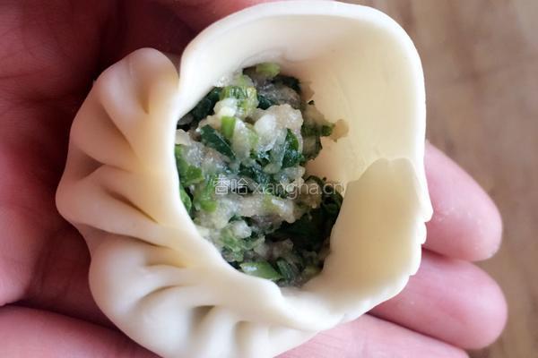 荠菜鲜肉小笼包的做法图解6