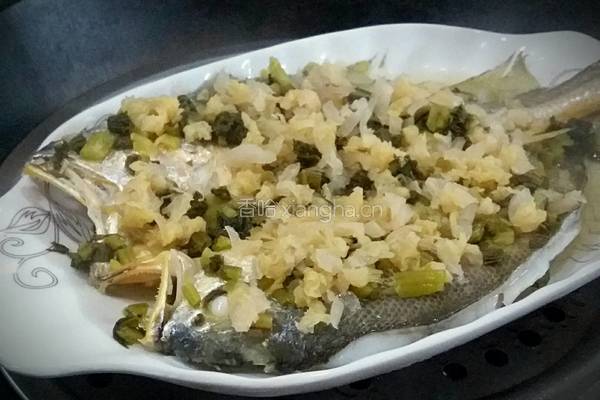 冬菜蒸黄鱼的做法图解4