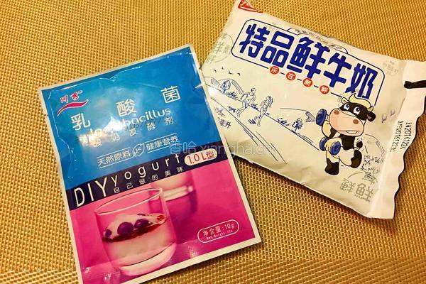 自制水果酸奶的做法图解1