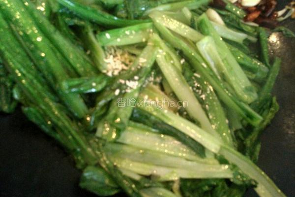 蒜香油麦菜的做法图解6