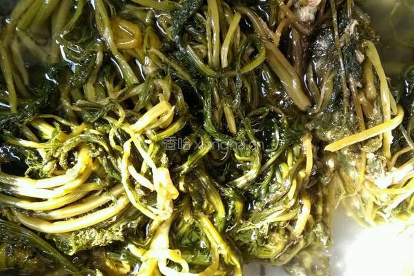 雪菜肉包的做法图解2