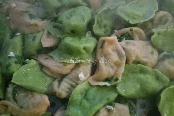 蔬菜饺子的做法图解13