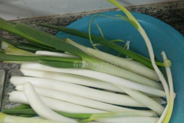 五香焗豆腐皮的做法图解5