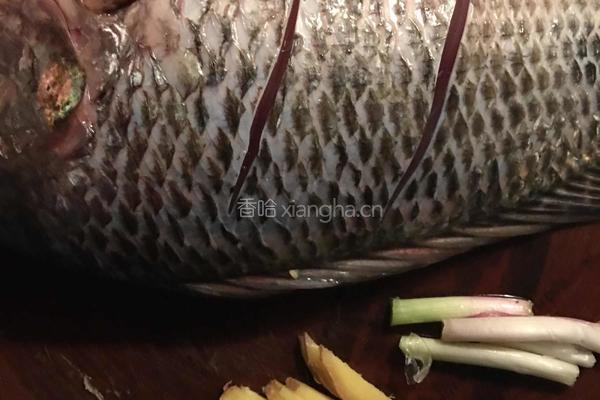 豆豉蒸罗非鱼的做法图解1