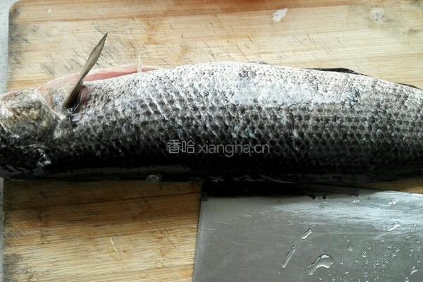滑溜鱼片的做法图解1