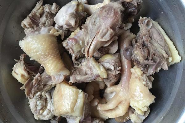 鸡肉炖粉条的做法图解5
