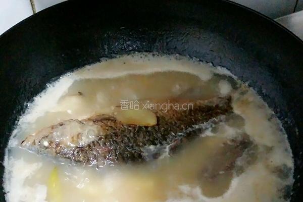 海参鲫鱼汤（下奶）