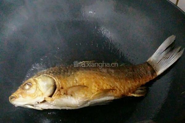 海参鲫鱼汤（下奶）的做法图解1
