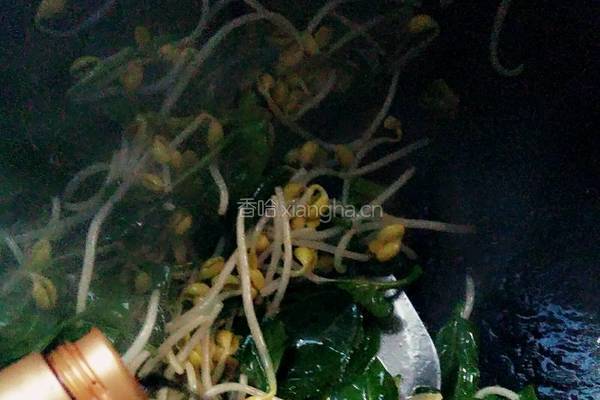 菠菜炒黄豆芽的做法图解6