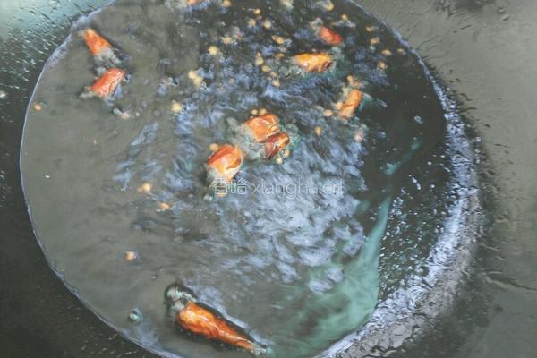 酸萝卜炒豆芽的做法图解5