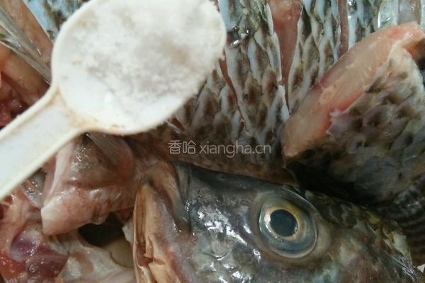 清蒸开屏罗非鱼的做法图解3