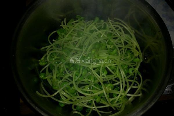 凉拌豆芽海带丝的做法图解7