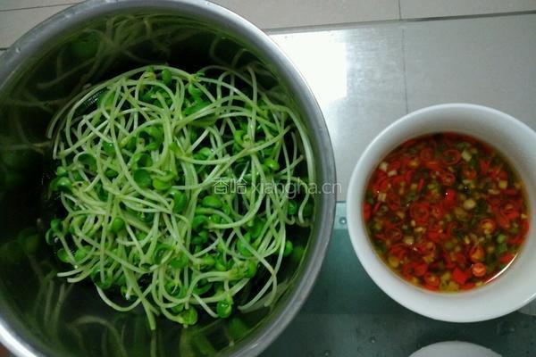 凉拌豆芽海带丝的做法图解9