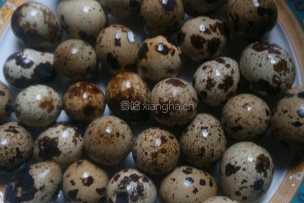 红烧肉鹌鹑蛋的做法图解4