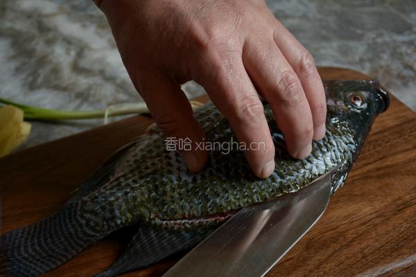 蒸罗非鱼的做法图解2