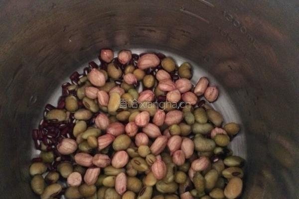 香浓花生红豆豆浆的做法图解4