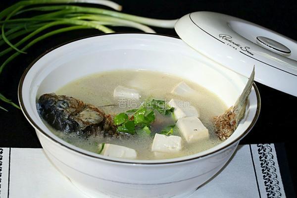 鲫鱼豆腐汤的做法图解10