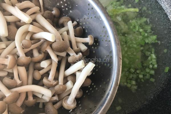 蟹菇芹菜豆腐汤的做法图解6