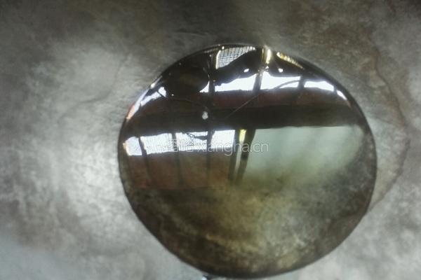 凉拌茼蒿菜的做法图解4