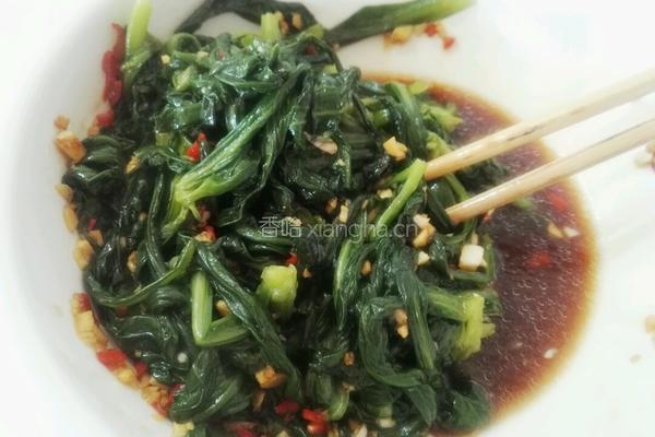 凉拌茼蒿菜的做法图解11