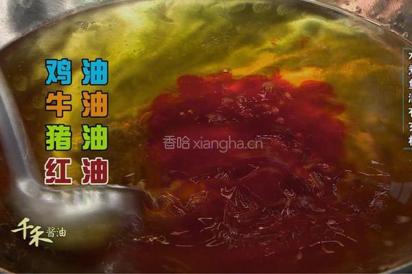 CCTV7食尚大转盘《经典水煮鱼》的做法图解1