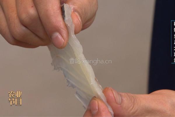 CCTV7食尚大转盘《经典水煮鱼》的做法图解3