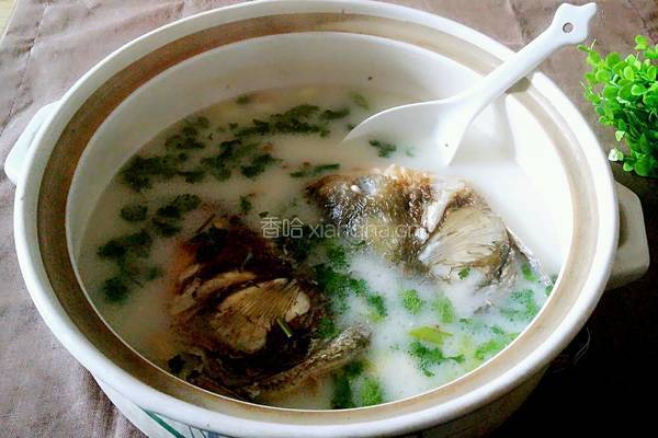 胖鱼头汤的做法图解12