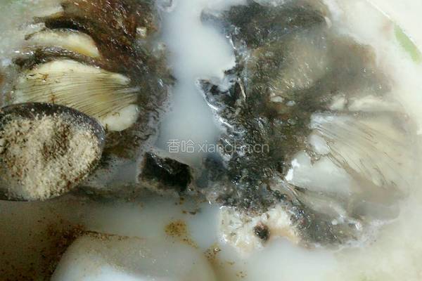 胖鱼头汤的做法图解10