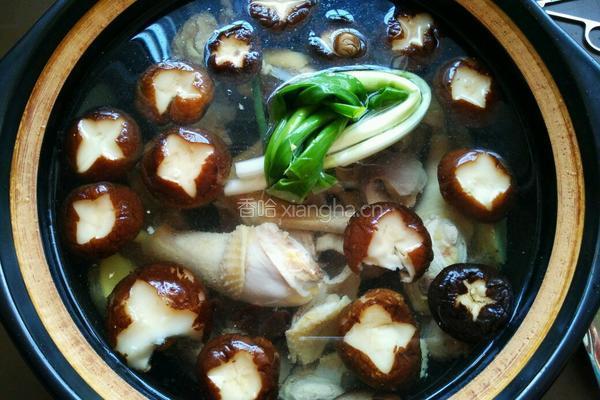 香菇炖鸡汤的做法图解5