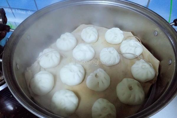 胡萝卜木耳包子的做法图解25