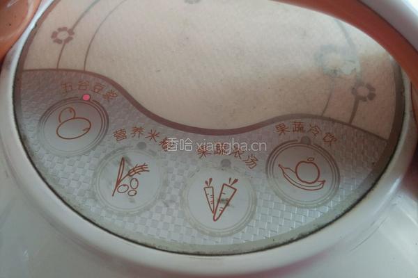 绿豆浆的做法图解5