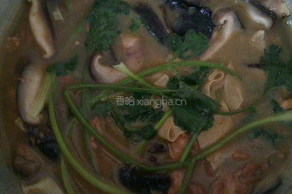 焖鸡肉