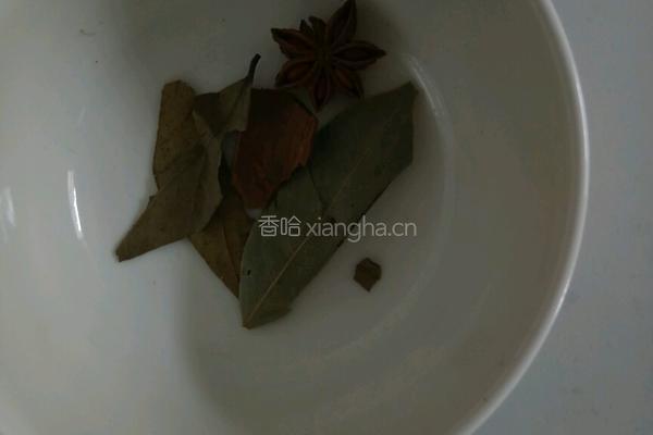 焖鸡肉的做法图解4