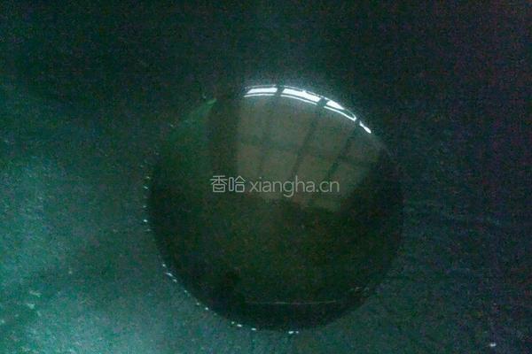 烩炸罗非鱼的做法图解11