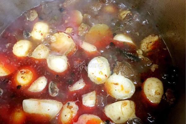 土豆烧牛腩的做法图解10