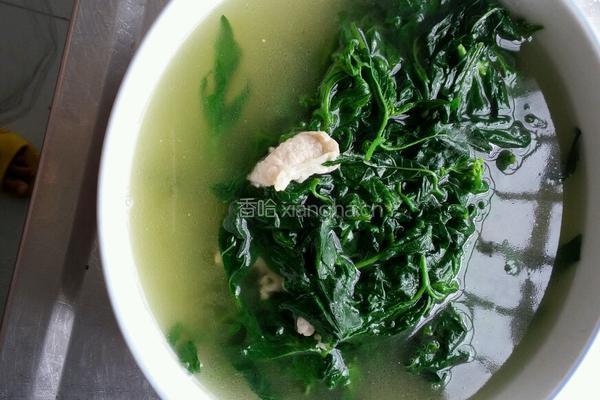 苦槐菜汆肉片
