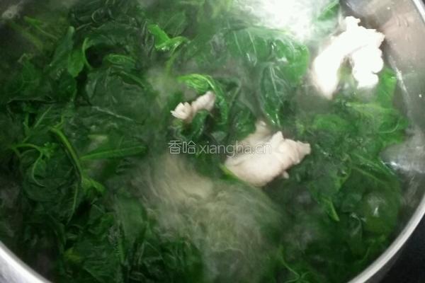 苦槐菜汆肉片的做法图解5