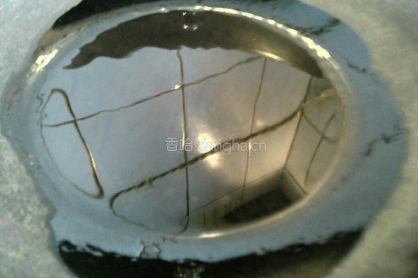 酸菜粉条炖冻豆腐的做法图解3